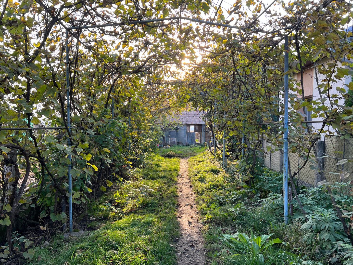 0 COMISION! Casa cu teren de vanzare in Apahida, zona centrala - Poză 6