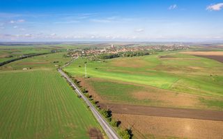 Teren de 104000 mp în Vinga - Poză 8