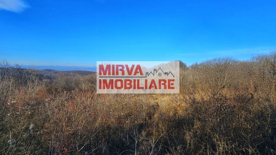 Teren intravilan 1.000 mp – Seciu, 2 deschideri, Priveliște panoramica - Poză 12