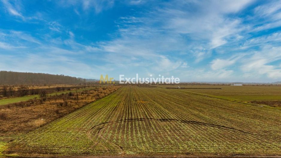 Teren intravilan 5040 mp, deschidere dubla - Poză 2