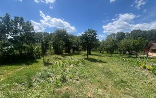 Teren Fedelesoiu/3200 mp/Intravilan - Poză 1