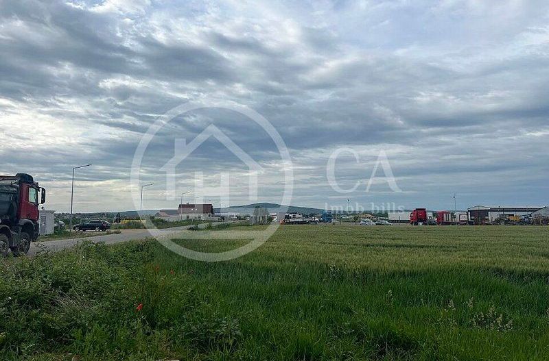 Teren intravilan de vanzare 21354 mp zona Solay Bihor - Poză 2