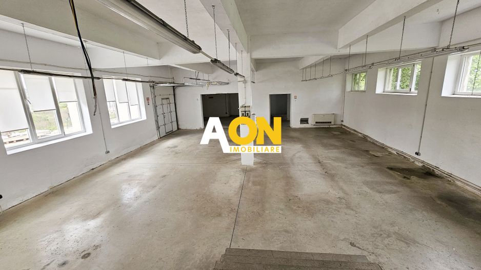 Spatiu industrial pentru productie sau depozitare, 1600 mp, Sebes - Poză 12