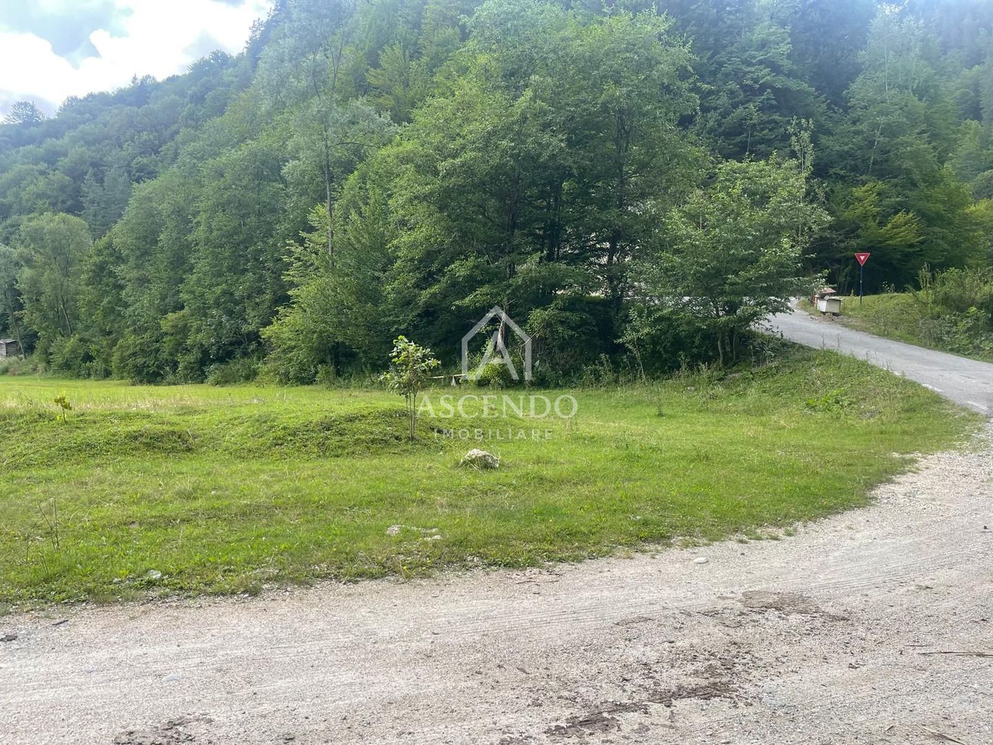 Teren pentru investiție turistică în Dâmbovicioara – Baranga | 4.500 mp | Front ~102 ml - Poză 1