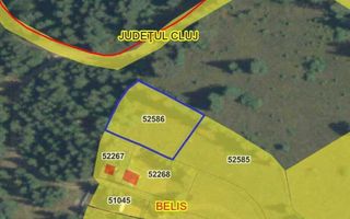 Teren intravilan, 1400 mp, Balcesti, Belis - Poză 4