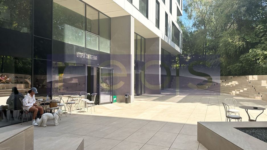 Inchiriere Spatiu Comercial / Birou in Win Herastrau | 2 Etaje | 2 Intrari 78mp - Poză 13