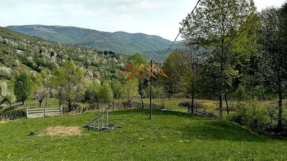 Teren Extravilan 23000 mp-potential turistic Valea Doftanei - Poză 3