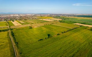 Teren de 10.000 mp situat în Bujac, Arad - Poză 6
