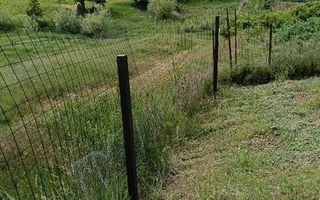 Teren intravilan de vanzare, Vorovesti, comuna Miroslava - Poză 3