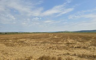 Teren intravilan– 50.000 mp, Bacău, Șoseaua Hol - Poză 1