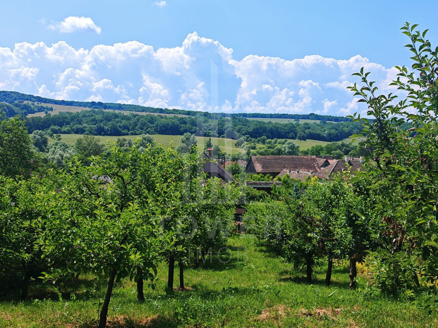 Casă săsească autentică în Bruiu (Sibiu) - Poză 19