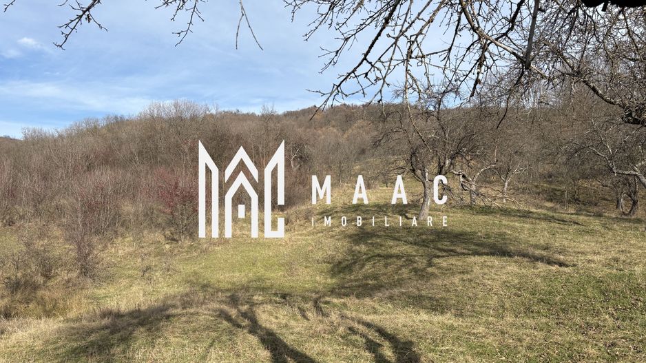 Teren  extravilan I 5300 mpI  Salatrucel -Calimanesti - Poză 3