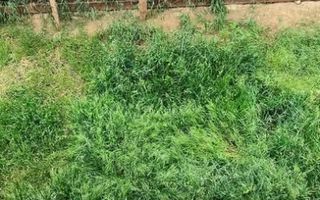 Casa tip duplex Horpaz Miroslava - Poză 7