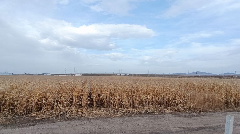 Teren intravilan industrial,str.Durau - Poză 2