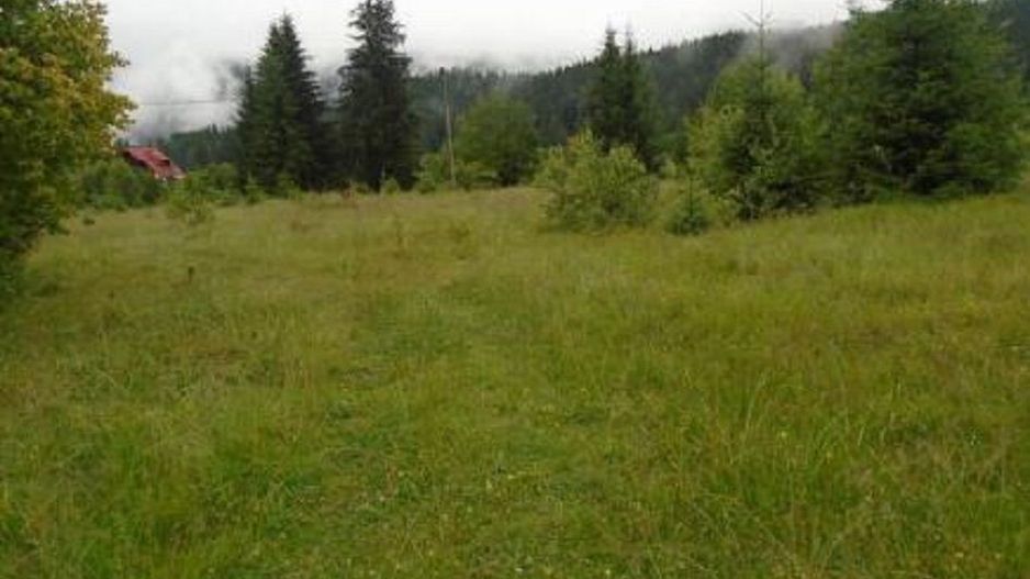 Teren Timisu de Sus - Poză 2