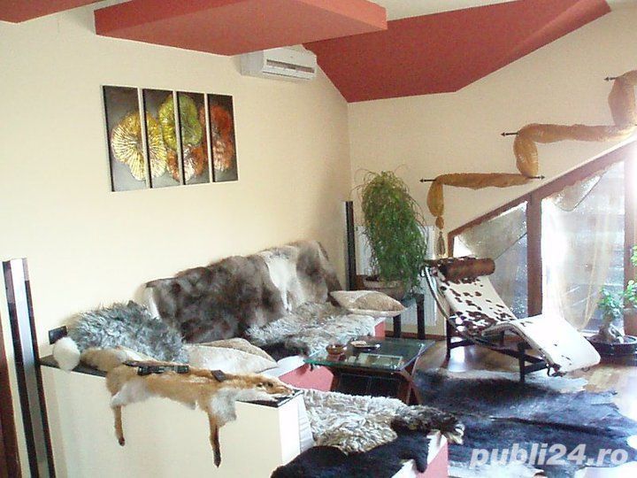 Ap. 3 camere pe 3 nivele - Poză 3