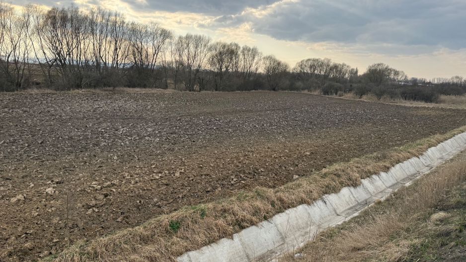 Teren extravilan | Rădăuți | 36 ARI - Poză 7