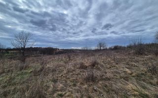Vand 2 parcele de 5700 mp zona Iabalcea - Poză 8