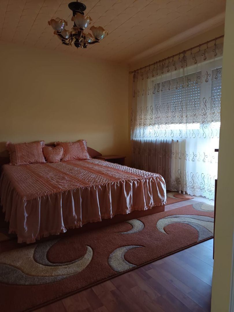 Vilă P+E de vânzare în Valea lui Mihai – 233 mp, teren 733 mp - Poză 23