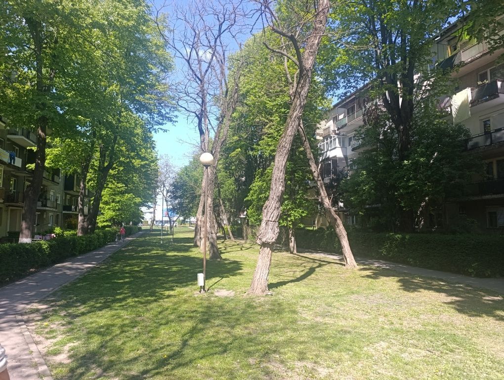 BRASADAS vinde ap 2 cam etaj 3/4 - Poză 8