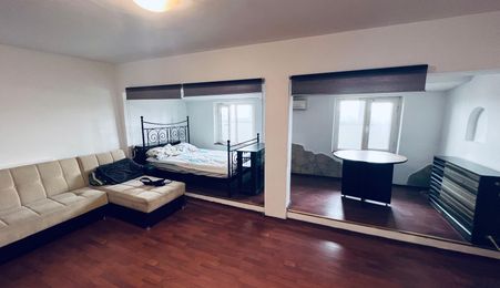 Studio deosebit parc Plumbuita
