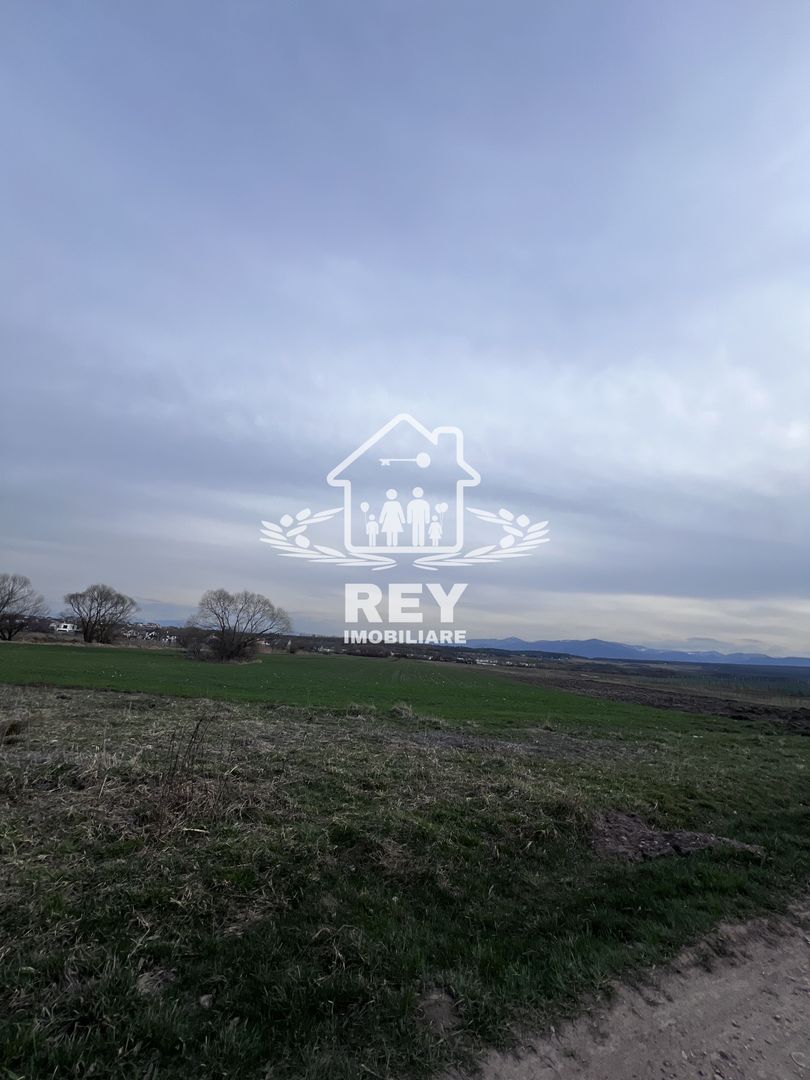 Teren Arabil Turnișor - Spre ferma de pui - Poză 3