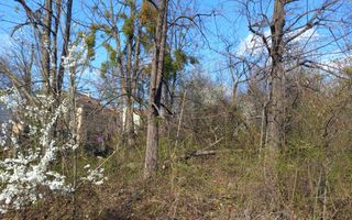 Teren Intravilan 5.147mp | Zonă rezidențială | B-dul Victoriei - Poză 1