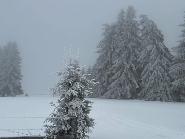 Cabana Exclusivista de vanzare in Belis - Cluj + 14.715 mp teren - Poză 4