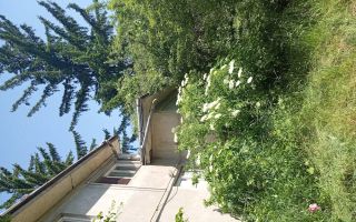 Teren intravilan 11.000 mp și casă 200 mp – Târgu Frumos - Poză 2