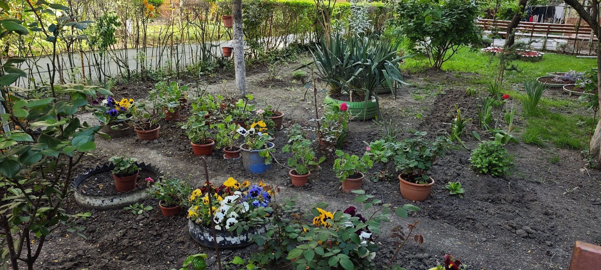 Aproape de Mall si de centru, departe de zgomot.  COMISION ZERO! - Poză 17