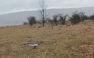 Teren 10000mp intravilan Chinteni 14 case aprobate  Investiție dezvoltator - Poză 5