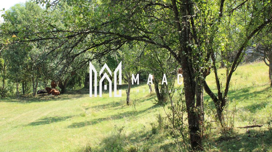 Poiana Sohodol I 5600 MP I Trei corpuri cladiri I Utilitati - Poză 77