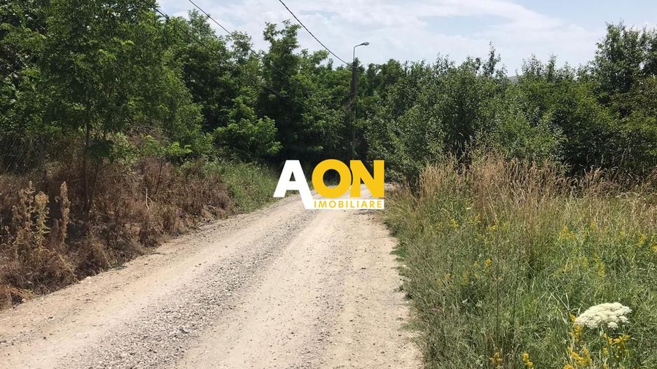 Teren De Vanzare, Zona Oarda de Sus, 2800MP - Poză 2