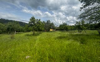 TEREN INTRAVILAN 4600 MP, VOINESTI, LERESTI, ARGEȘ - Poză 4