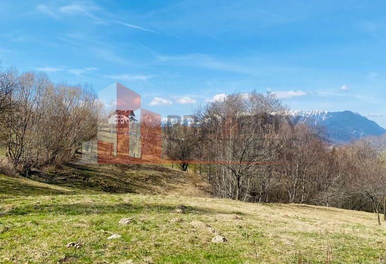 Teren Intravilan Bran-Sohodol 3000 mp parcelabil cu utilitati - Poză 9