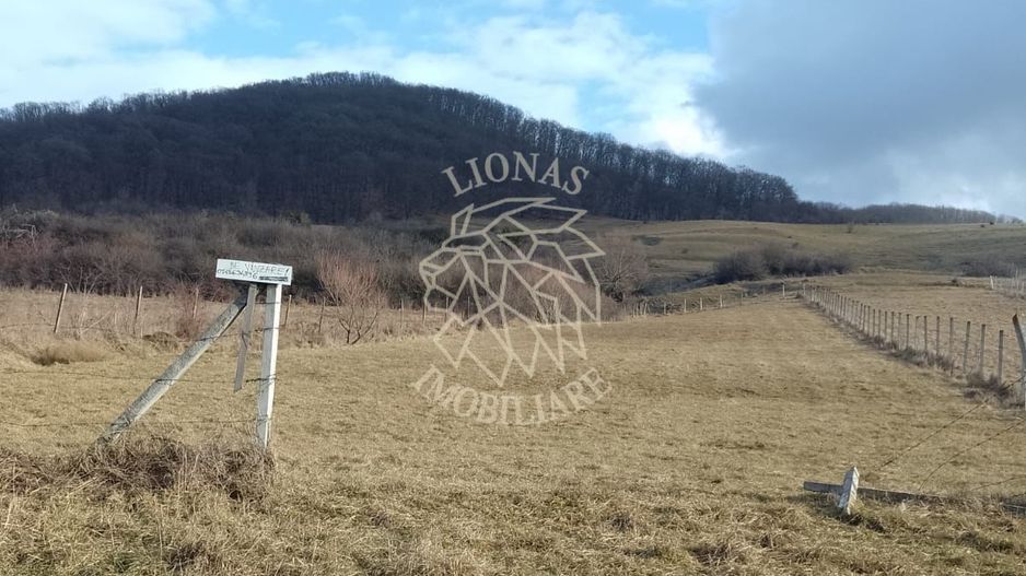 Teren la drum 2000 mp-pretabil investitie-Saratel - Poză 2