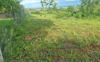 Teren intravilan de vânzare Daia Nouă | 1000 mp | Ideal pentru construcție - Poză 4