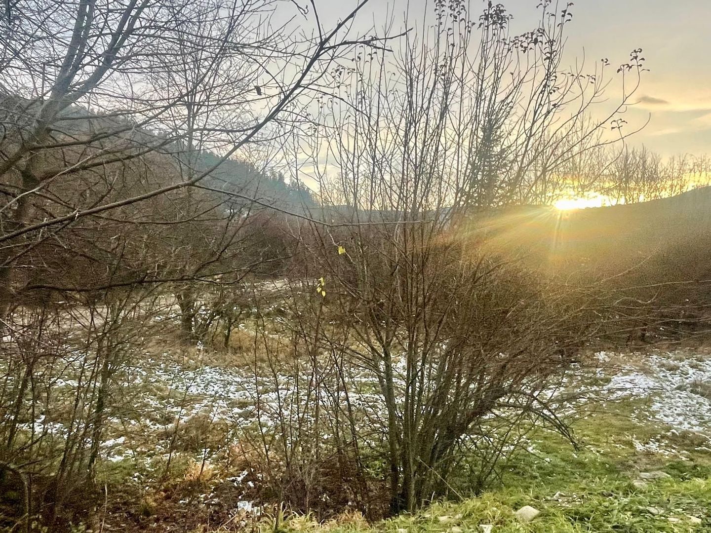 TEREN INTRAVILAN 2,26 HA | SUCEVITA | - Poză 11