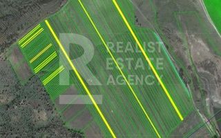 Vânzare, terenuri agricole, satul Romănești, Strășeni - Poză 4