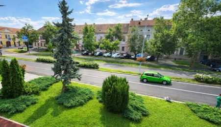 Spatiu multifunctional, apartament / birou - zona Centrală, Et. 1, 85 mp