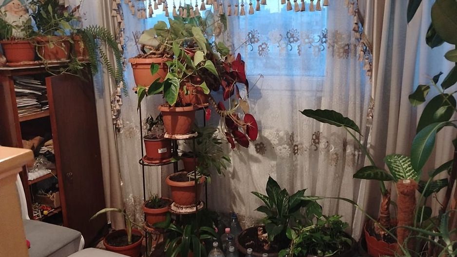 De vanzare Apartament 4 camere, Dacia, ultracentral - Poză 5