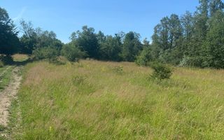 Teren in zona turistica Porumbacu de Sus - Poză 3