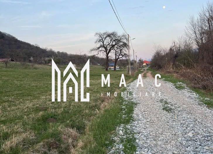 Teren extravilan de vânzare | Tălmaciu | 6.000 mp - Poză 4