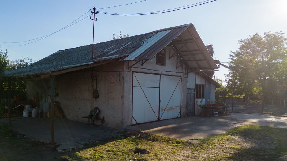 Hală industrială cu multiple destinații în Nădlac - Poză 42