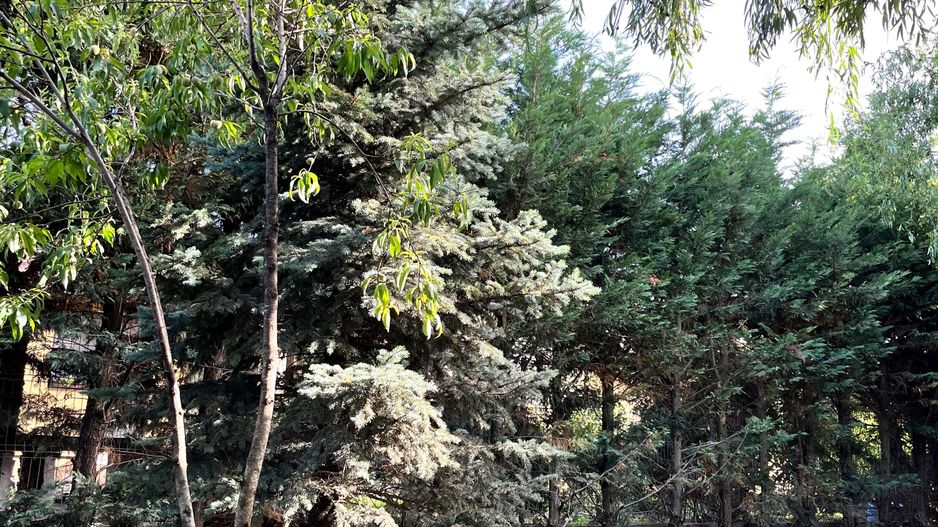 De Vanzare Casa  cu 4 camere  zona Tunari - Poză 19