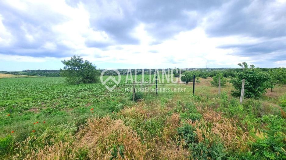 OVIDIU (COD 02)  - teren extravilan 4000 mp - Poză 5