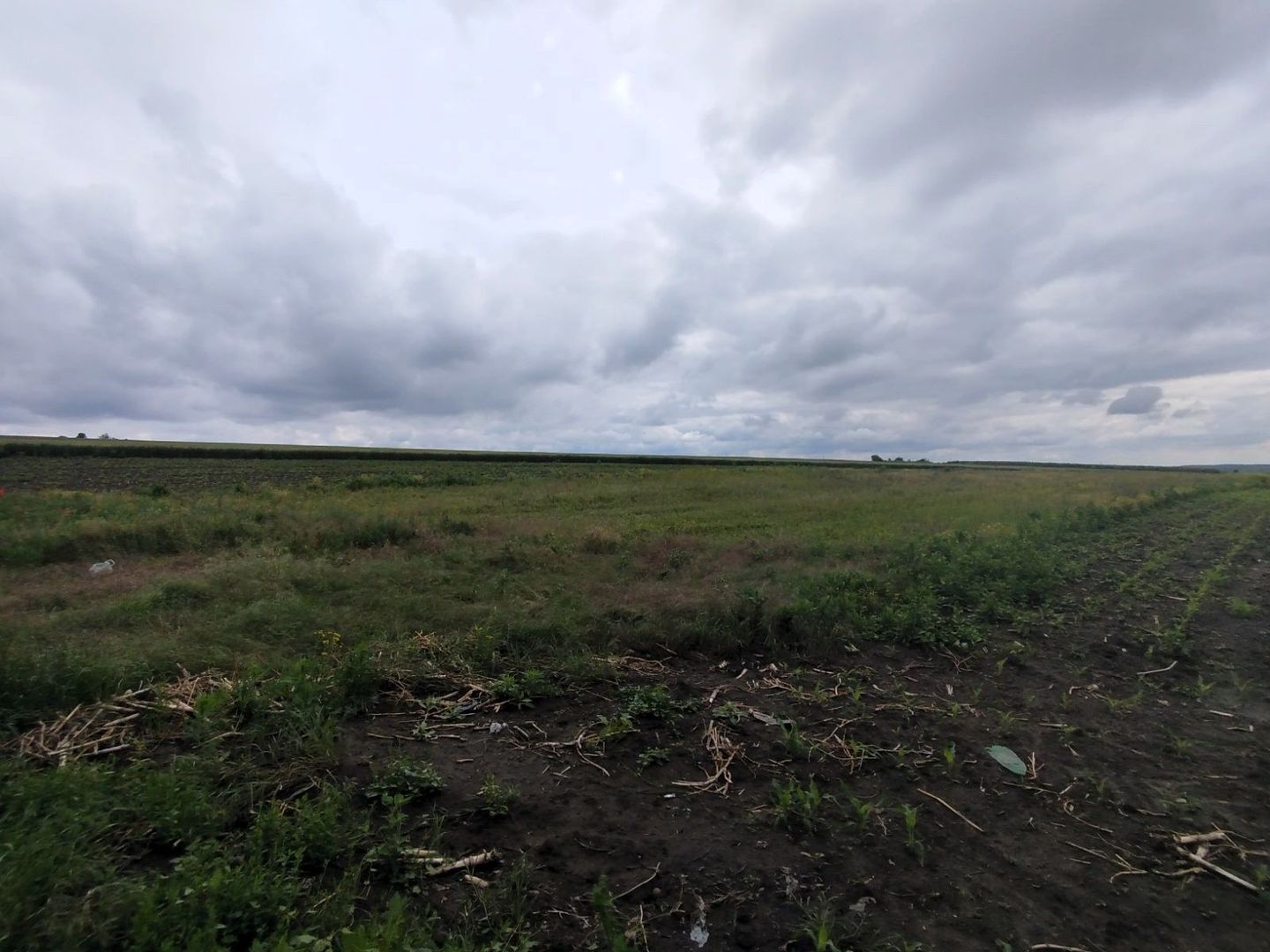 Teren Agricol de Vânzare – 78 Ari în Comuna Răzeni | Investiție cu Potențial! - Poză 5