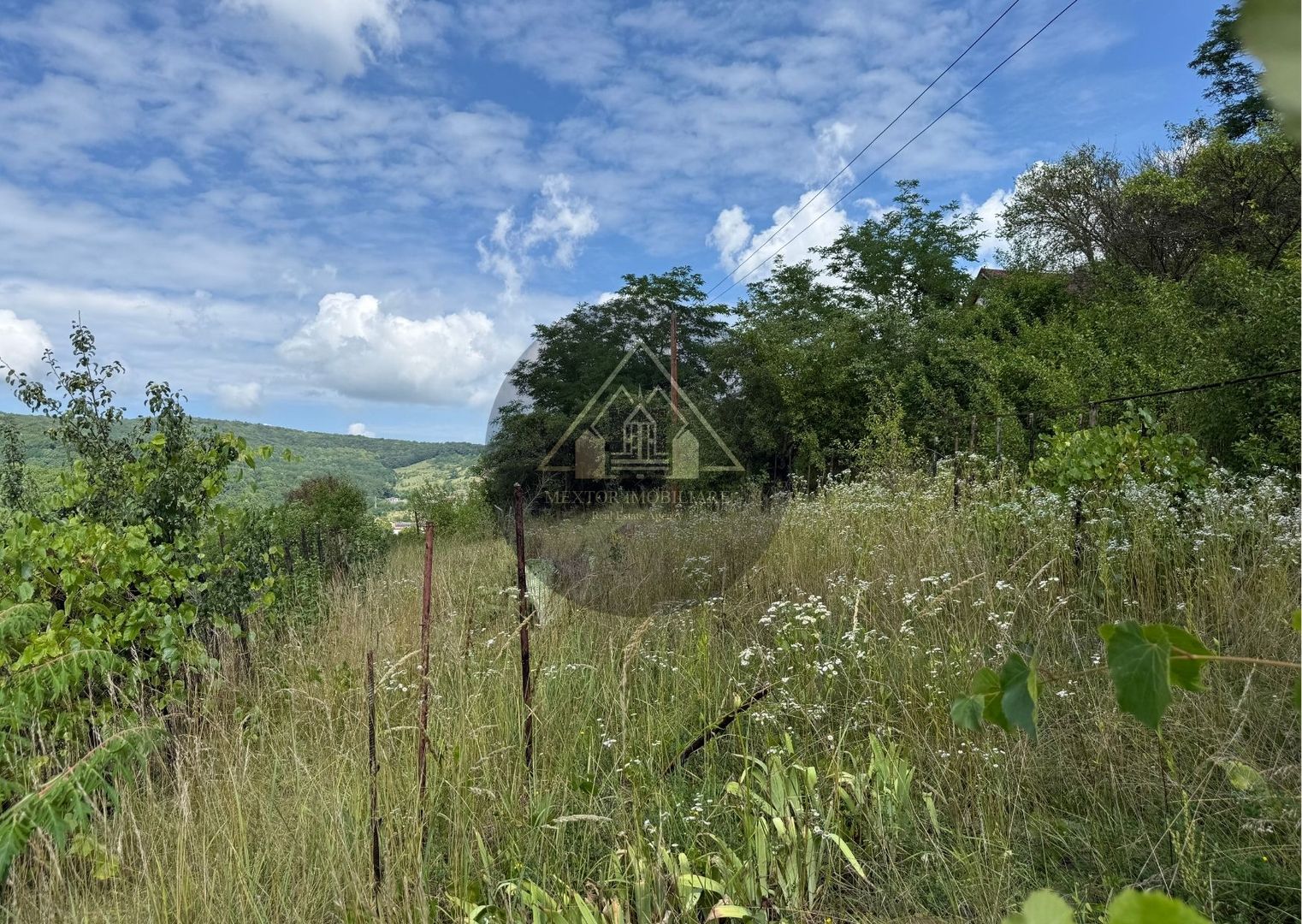 Teren Wewern, Medias - Poză 5