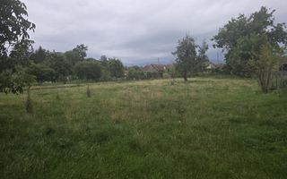 Casa 4 camere 2487 mp teren Arpasu de Jos - Poză 13