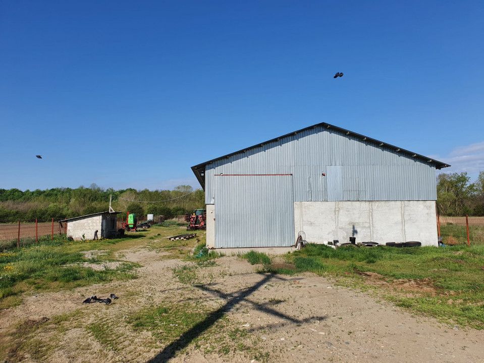 Hala de vanzare Costesti - Poză 5